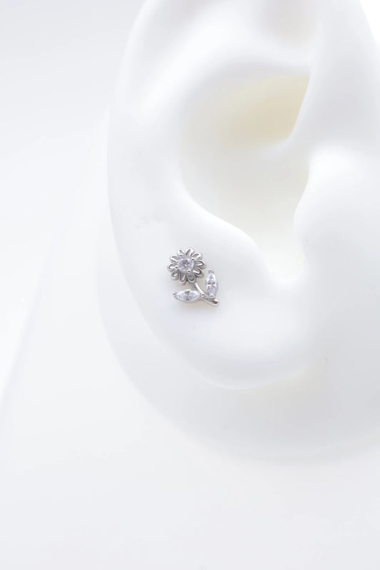 Piercings en acier inoxydable