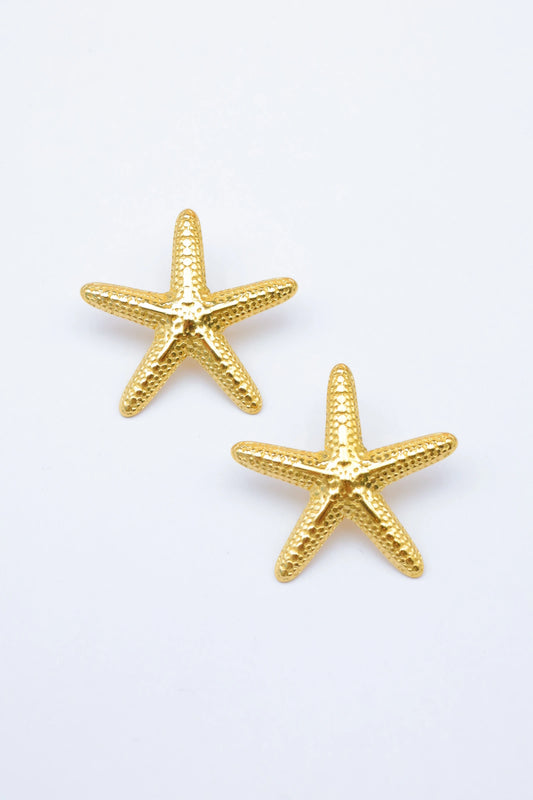 Boucles d’oreilles en acier inoxydable
