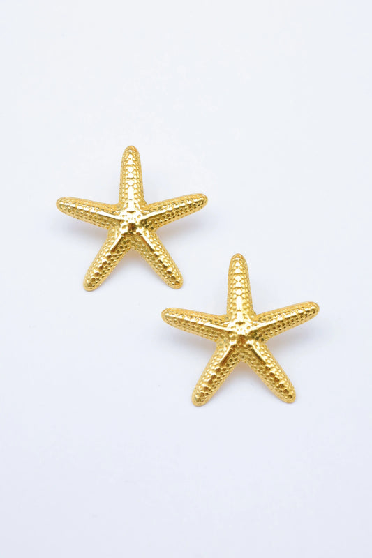 Boucles d’oreilles en acier inoxydable