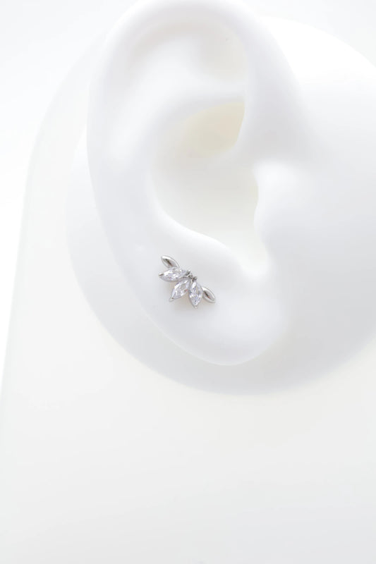 Piercings en acier inoxydable