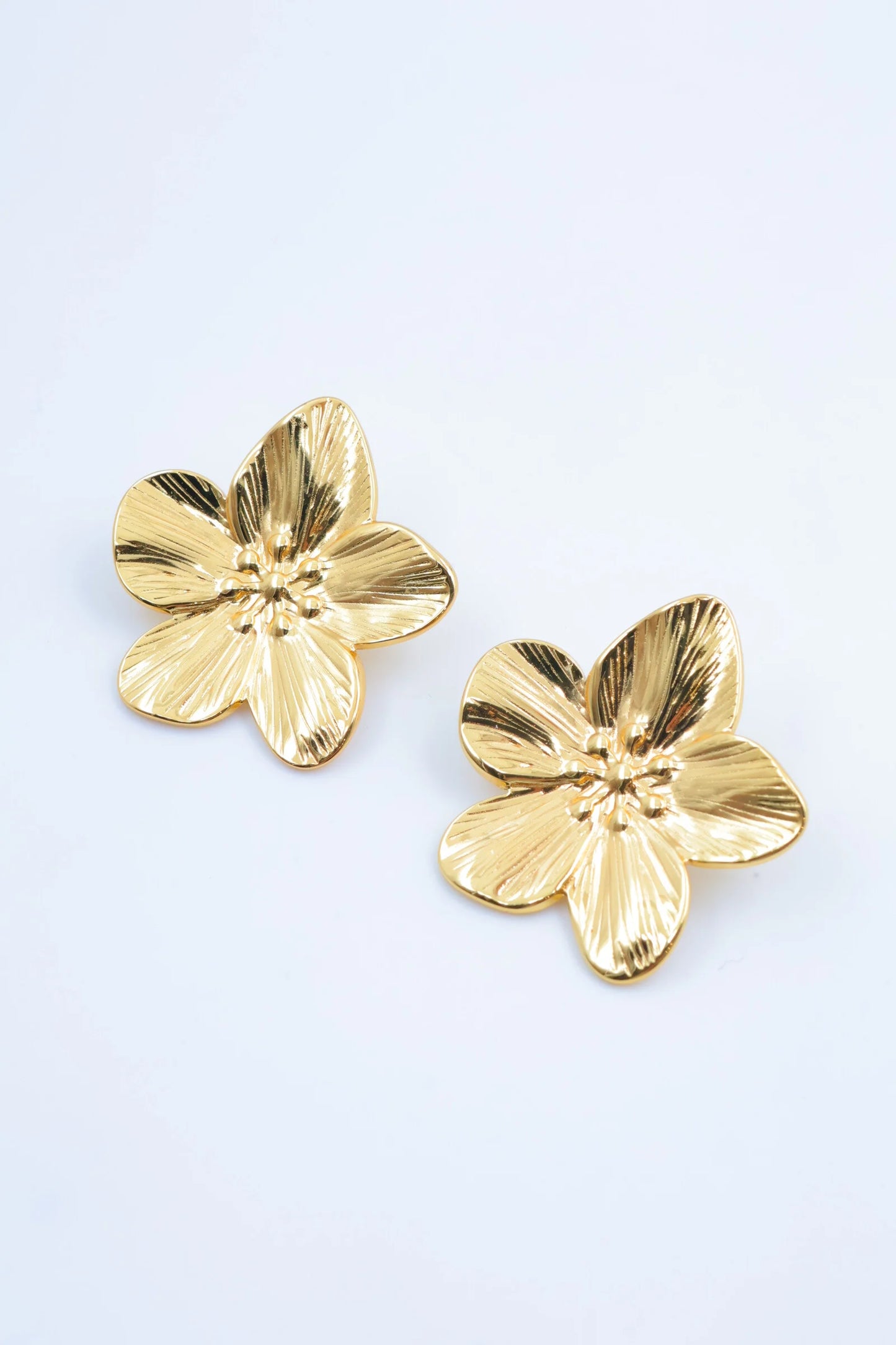 Boucles d’oreilles en acier inoxydable