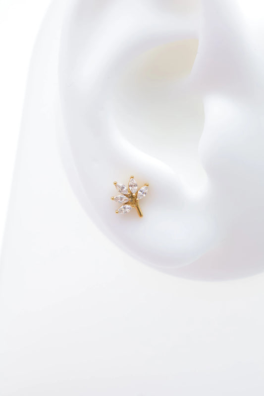 Piercings en acier inoxydable