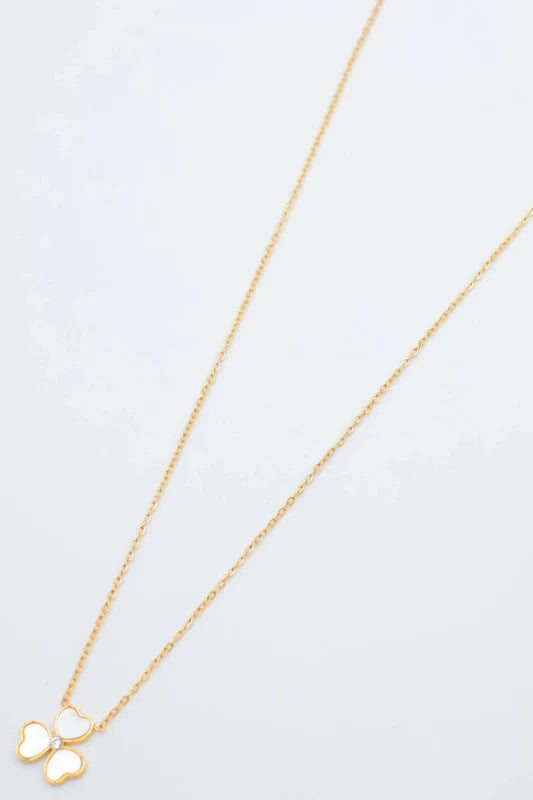 Colliers en acier inoxydable
