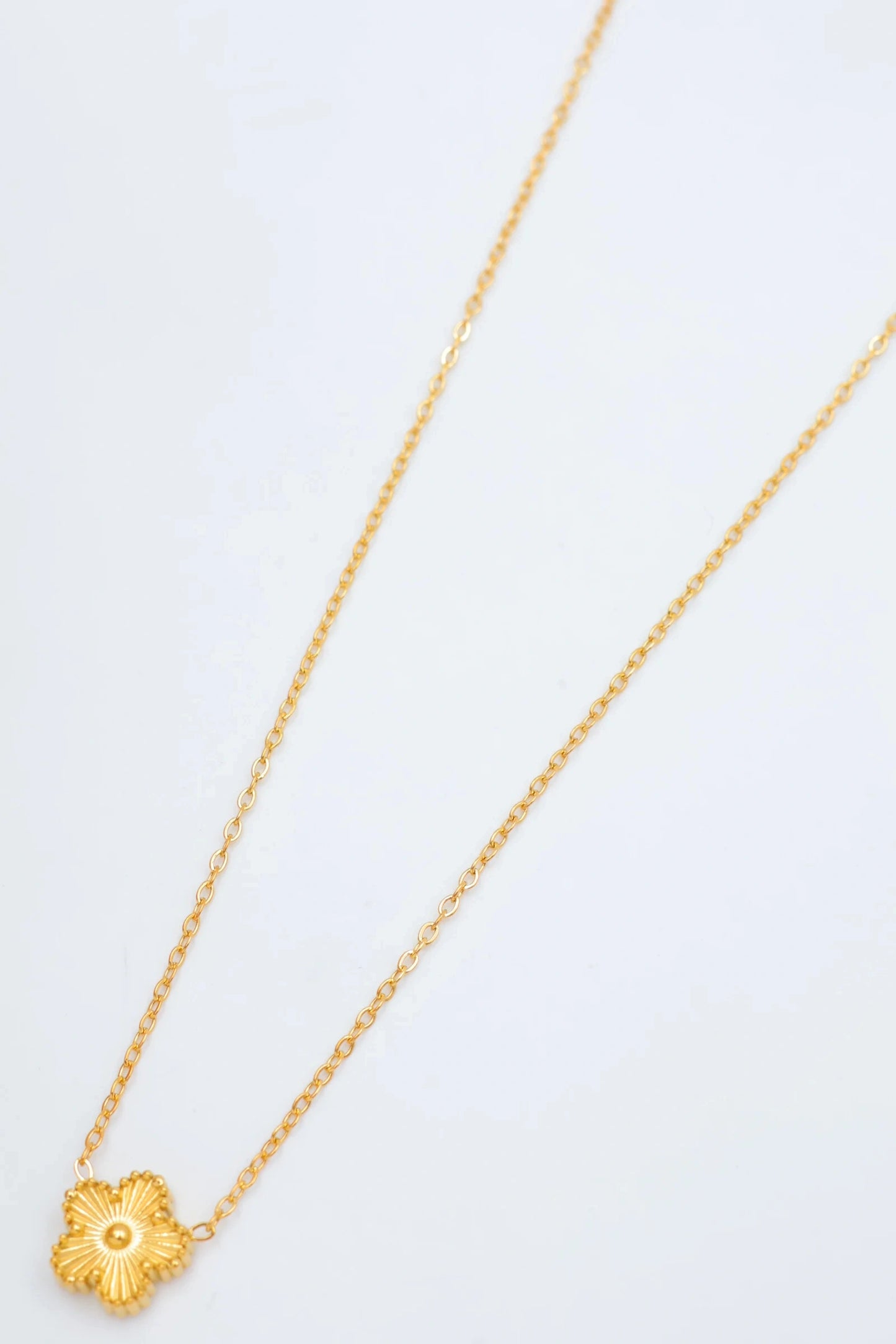 Colliers en acier inoxydable