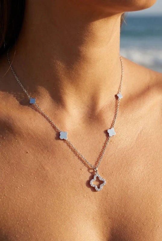 Colliers en acier inoxydable