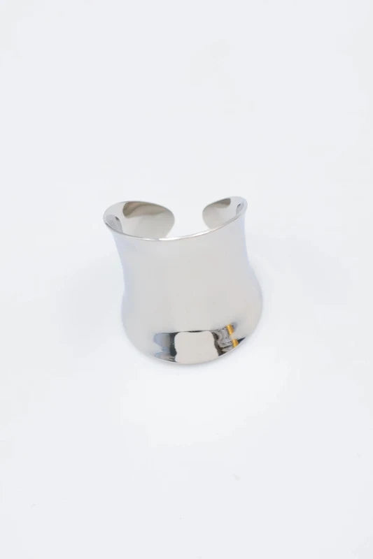Bagues en acier inoxydable