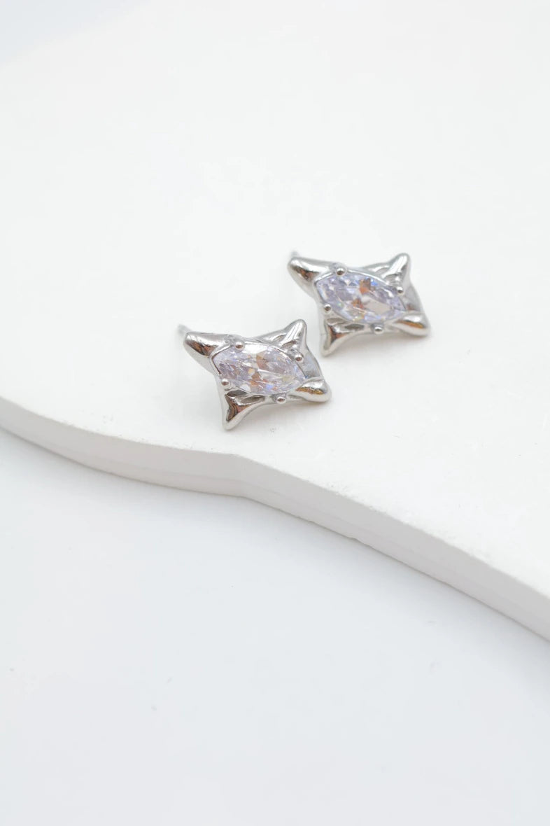 Boucles d’oreilles en acier inoxydable