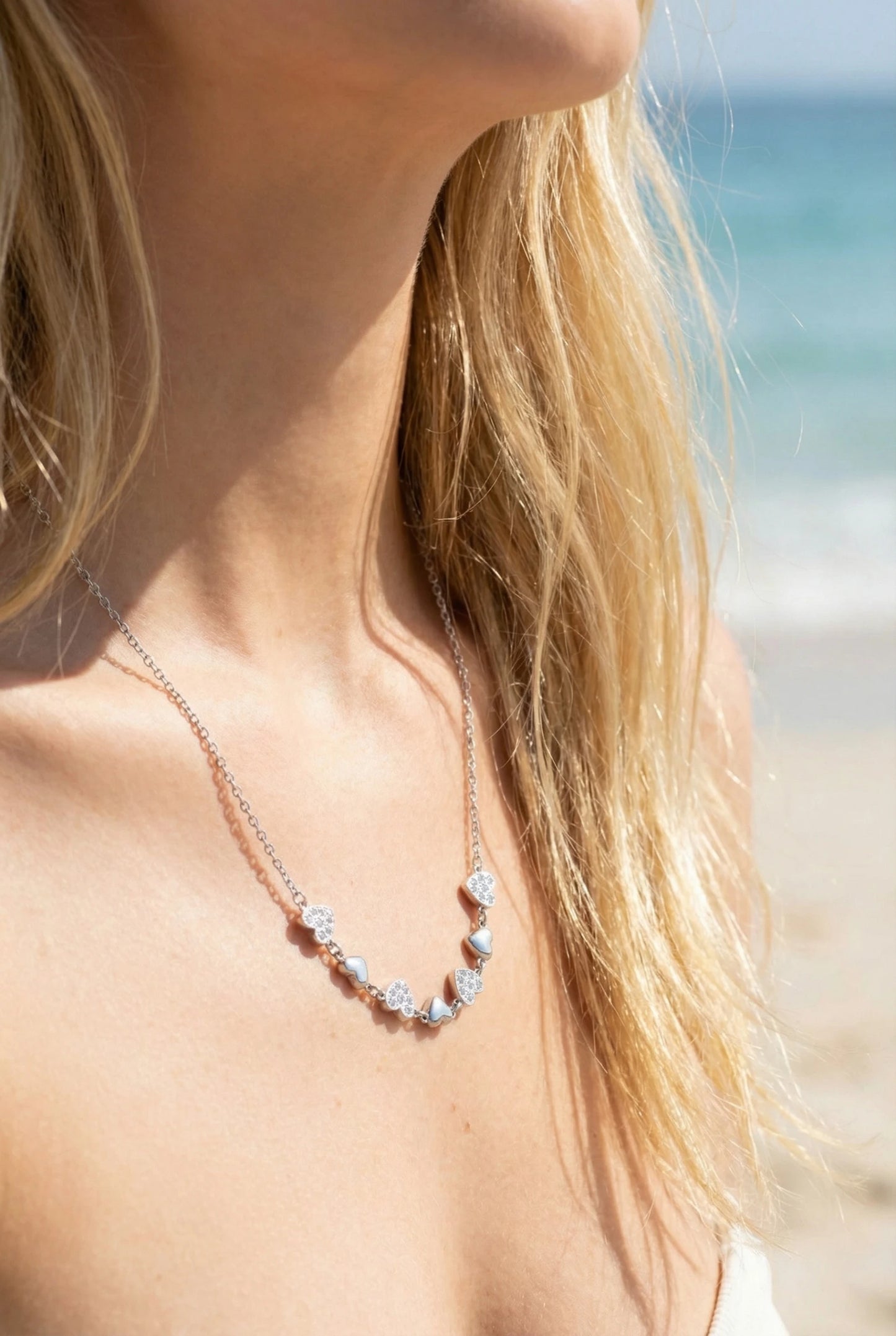 Colliers en acier inoxydable