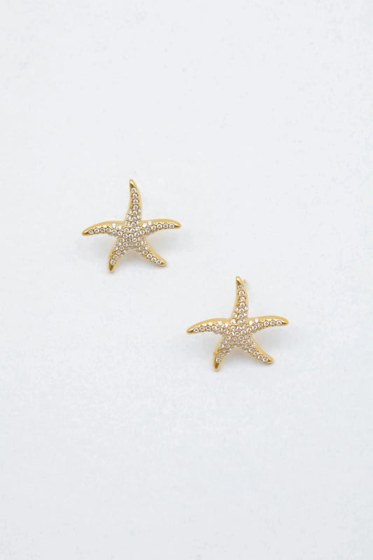 Boucles d’oreilles en acier inoxydable