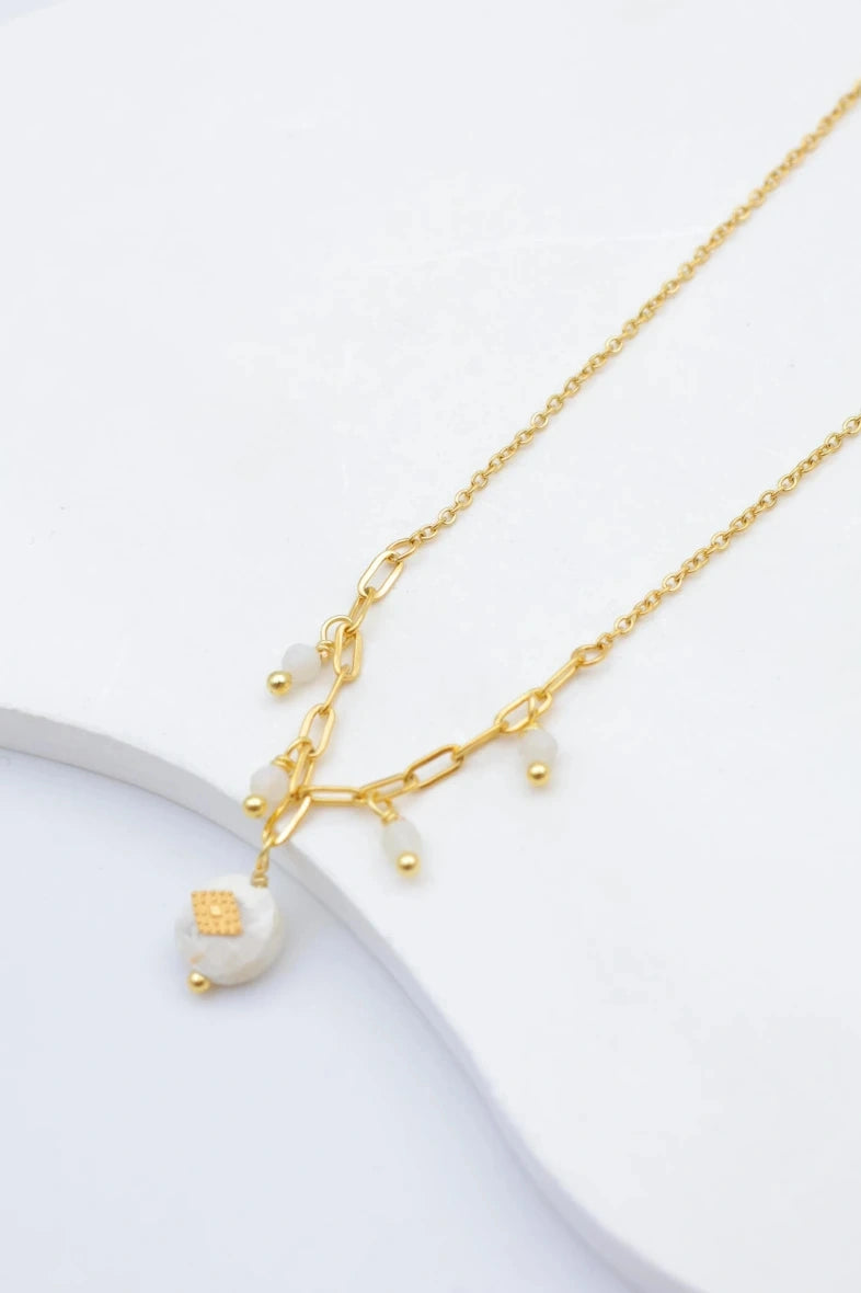 Colliers en acier inoxydable