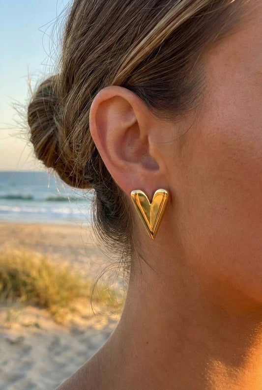 Boucles d’oreilles en acier inoxydable