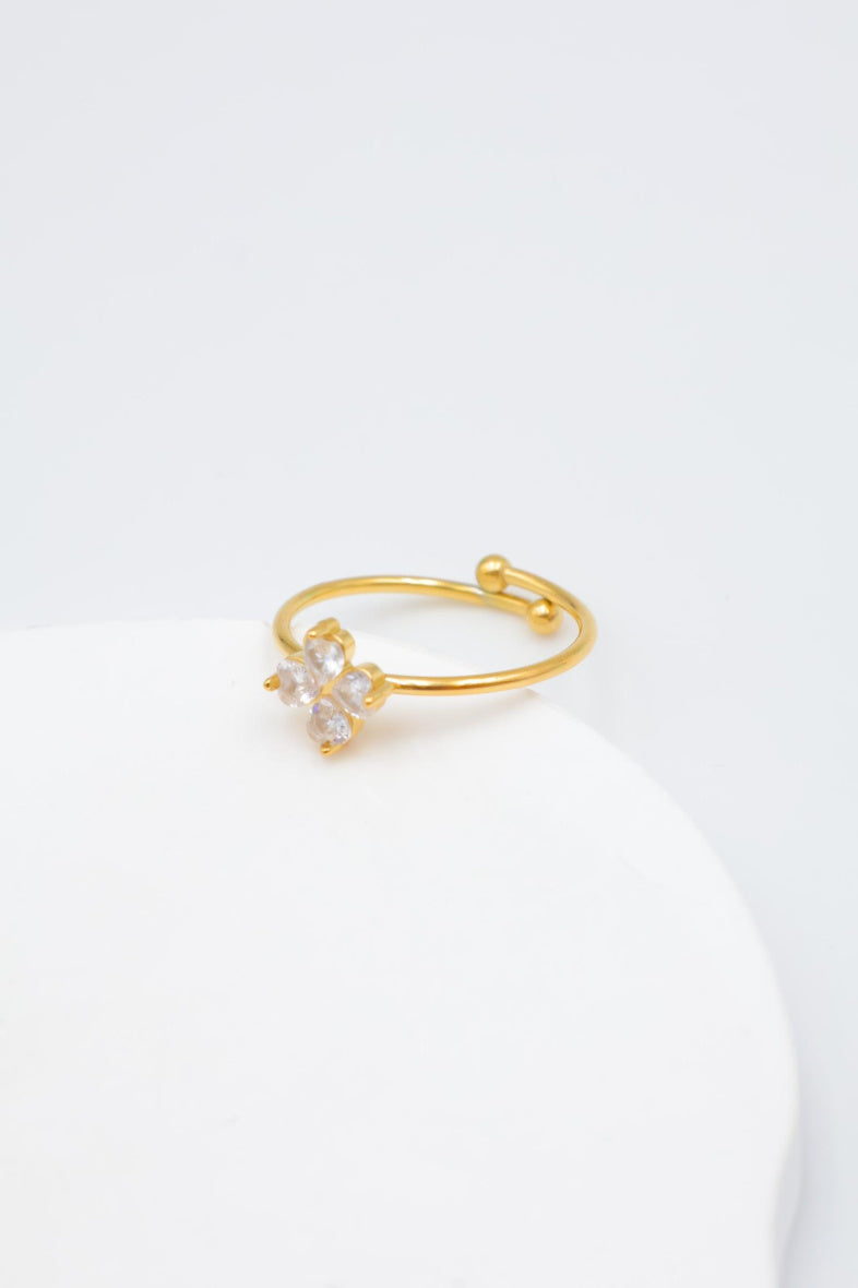 Bague en acier inoxydable ajustable - DORÉ