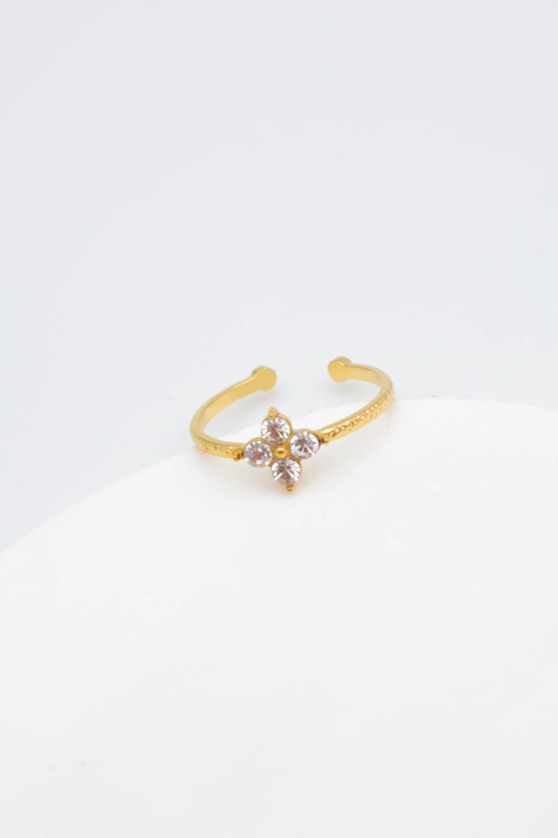 Bague en acier inoxydable ajustable - DORÉ