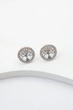 Boucles d'oreilles en acier inoxydable - ARGENT