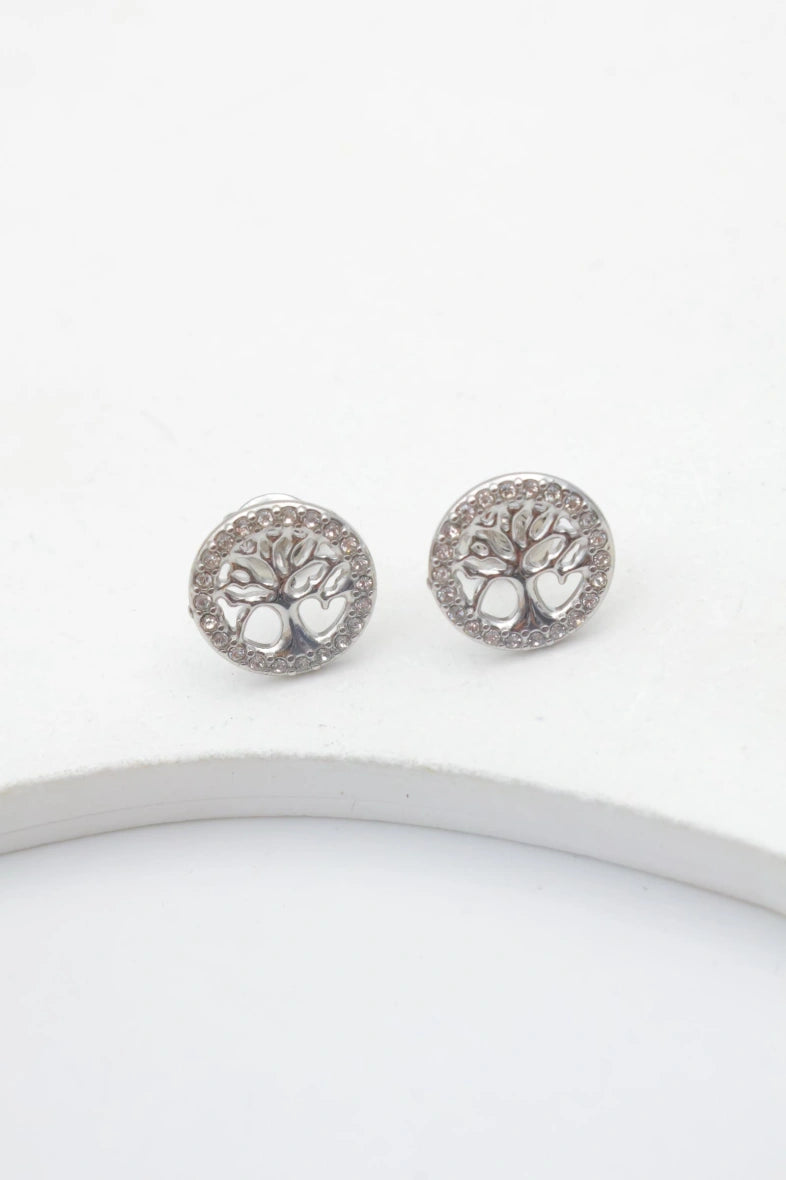 Boucles d'oreilles en acier inoxydable - ARGENT
