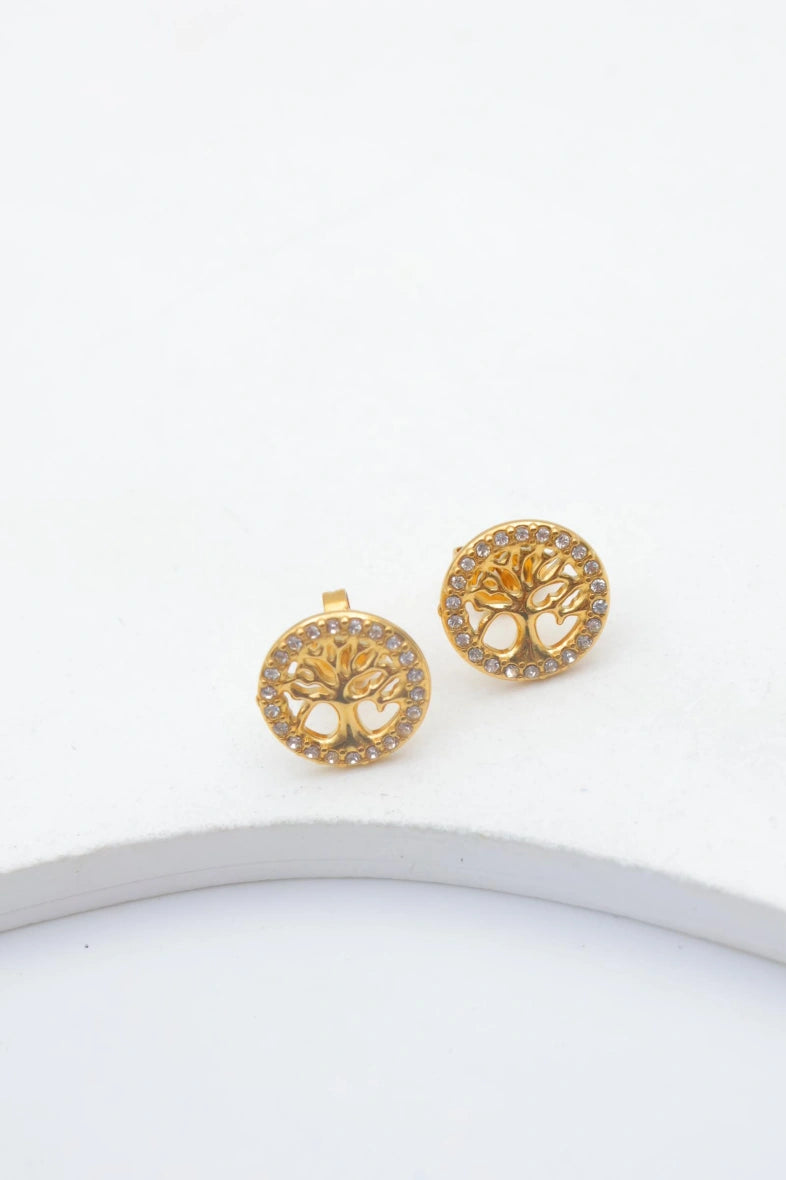Boucles d'oreilles en acier inoxydable - DORÉ