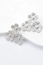 Boucles d'oreilles en acier inoxydable - ARGENT