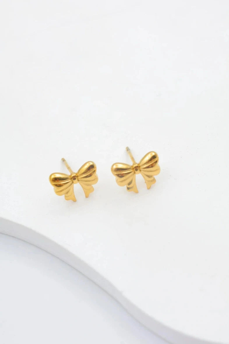 Boucles d’oreilles en acier inoxydable