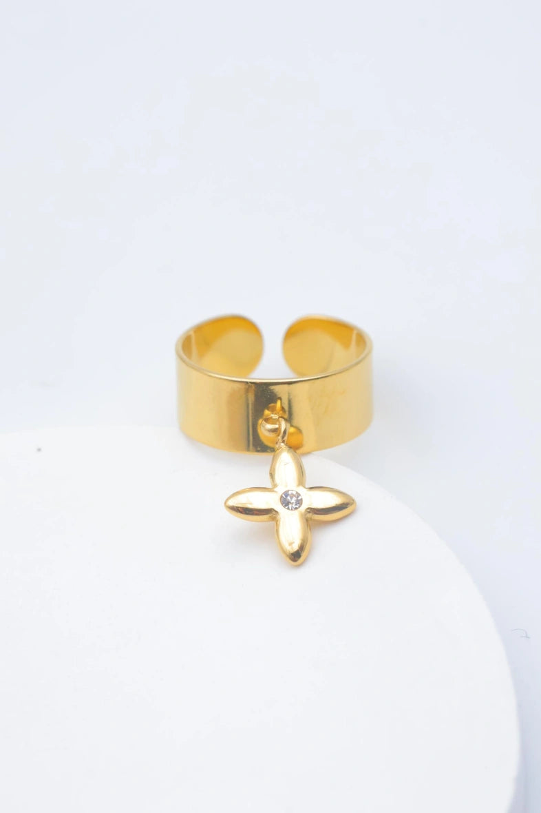 Bague en acier inoxydable ajustable - DORÉ