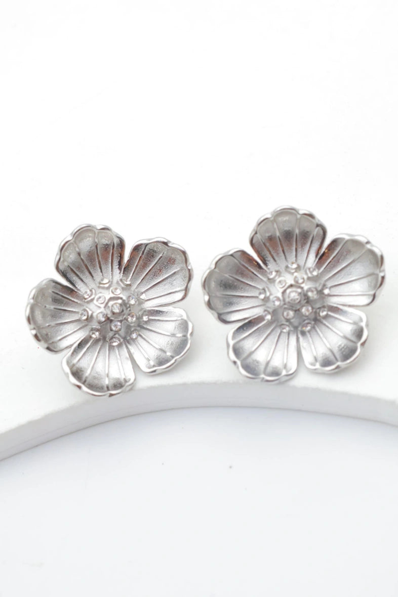 Boucles d'oreilles en acier inoxydable - ARGENT