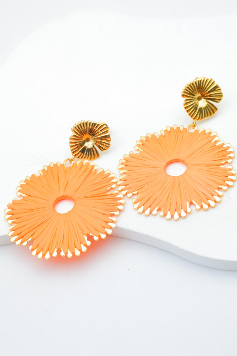 Boucles d'oreilles en acier inoxydable - ORANGE