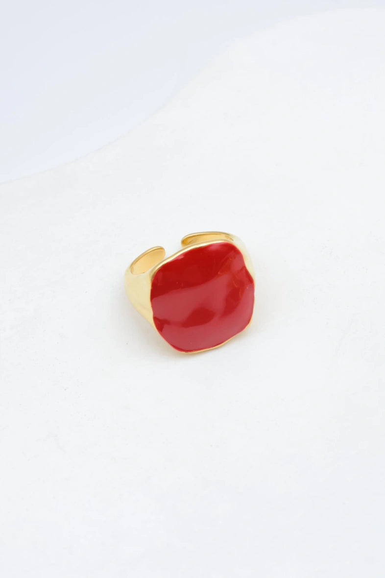 Bague en acier inoxydable ajustable - BOURGOGNE