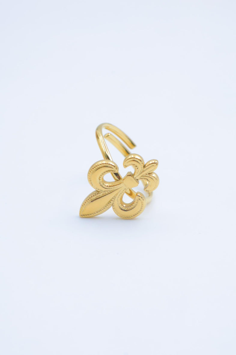 Bague en acier inoxydable ajustable - DORÉ