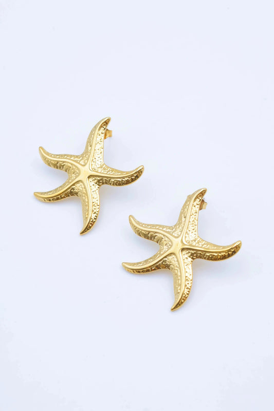 Boucles d’oreilles en acier inoxydable