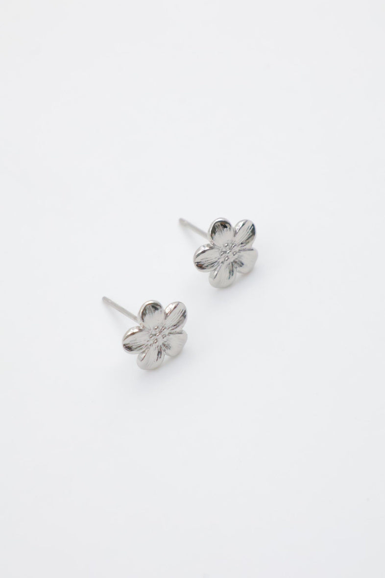 Boucles d'oreilles en acier inoxydable - ARGENT