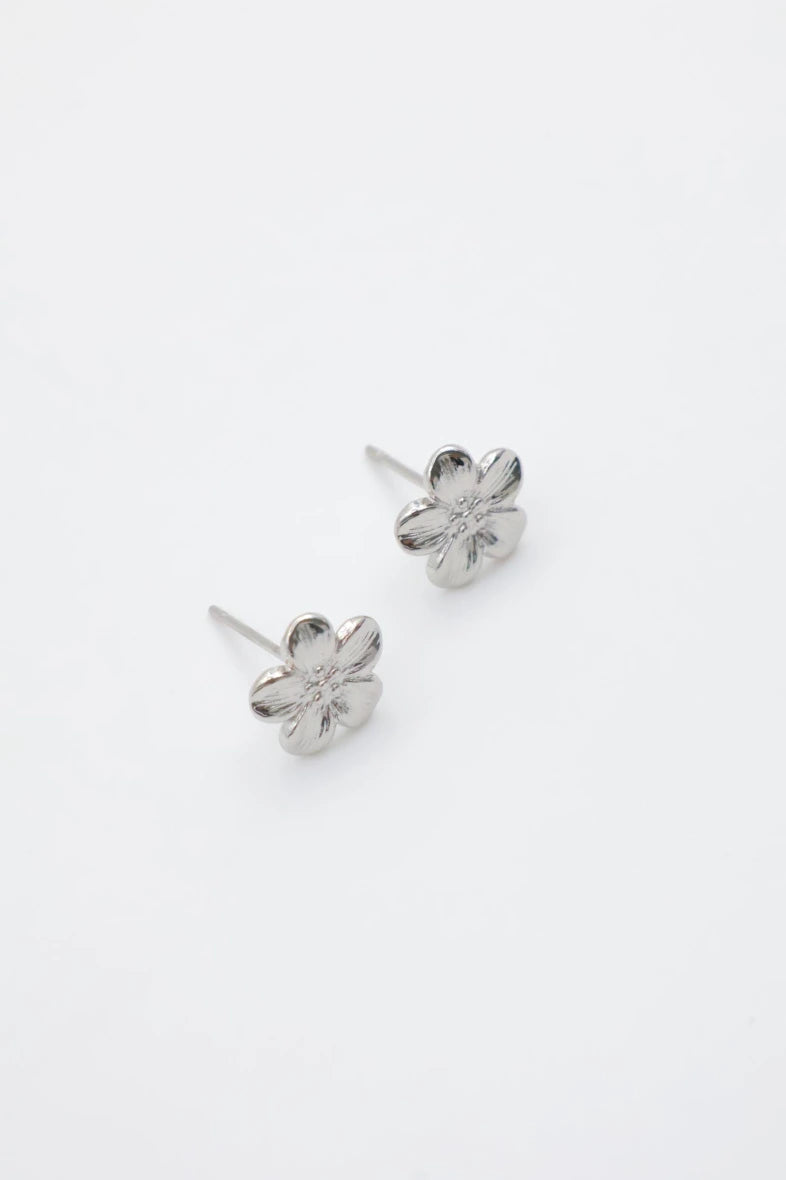 Boucles d’oreilles en acier inoxydable