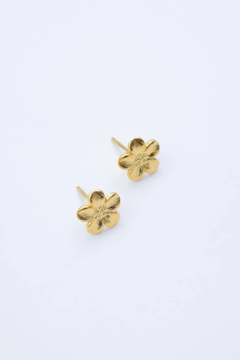Boucles d’oreilles en acier inoxydable