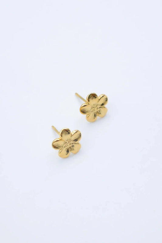 Boucles d’oreilles en acier inoxydable