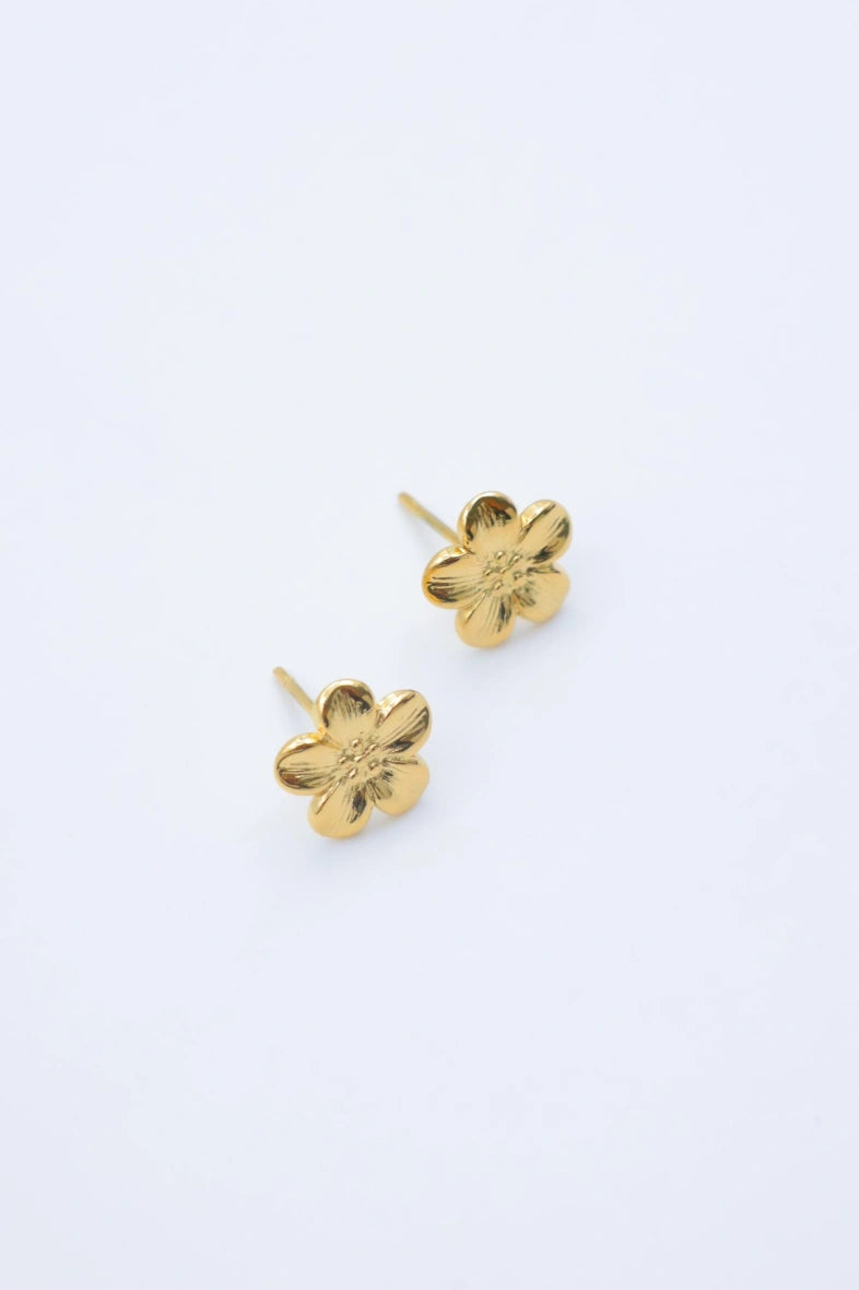 Boucles d'oreilles en acier inoxydable - DORÉ