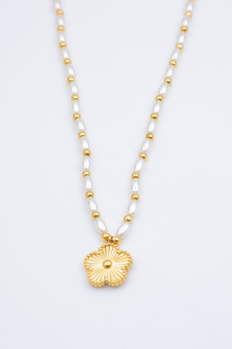 Collier en acier inoxydable - DORÉ