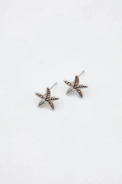 Boucles d’oreilles en acier inoxydable
