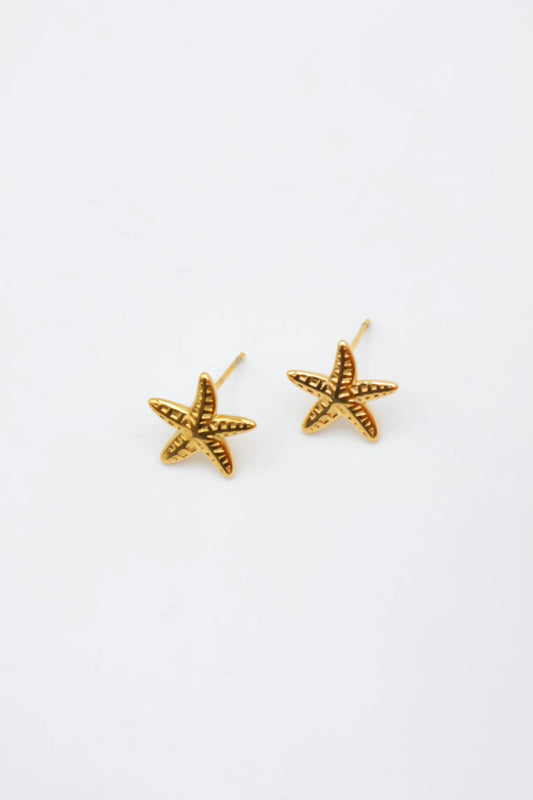Boucles d’oreilles en acier inoxydable
