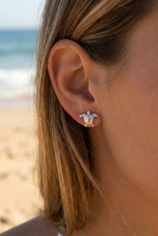 Boucles d’oreilles en acier inoxydable