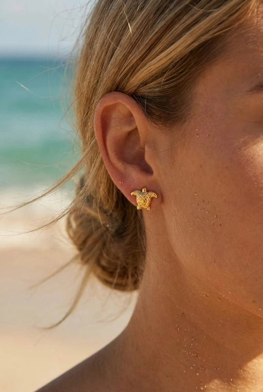 Boucles d’oreilles en acier inoxydable
