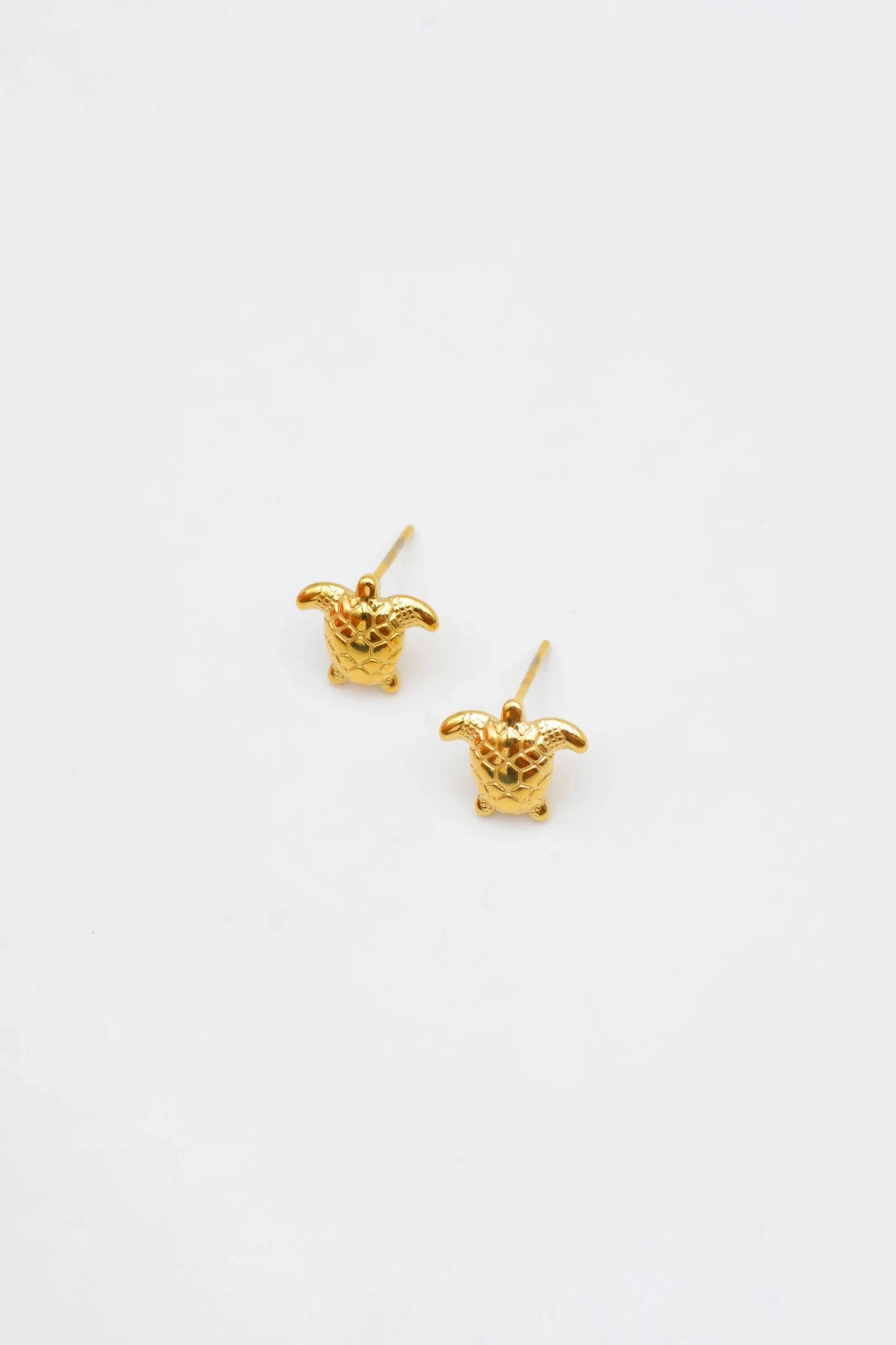 Boucles d’oreilles en acier inoxydable