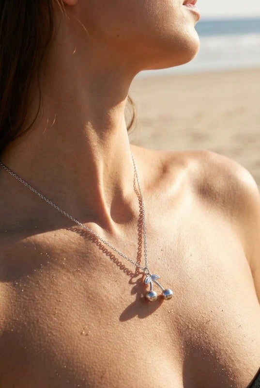 Colliers en acier inoxydable