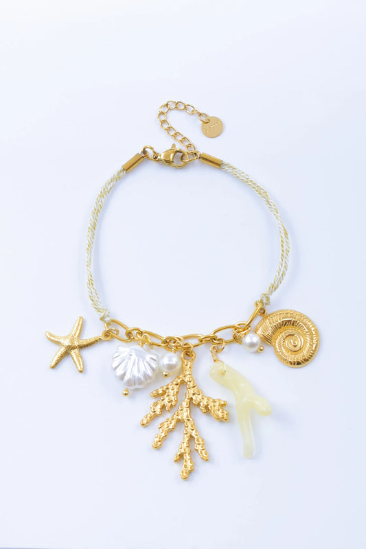 Bracelets en acier inoxydable