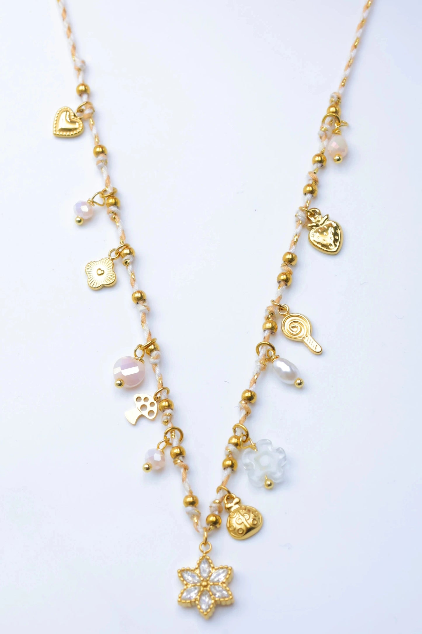 Colliers en acier inoxydable