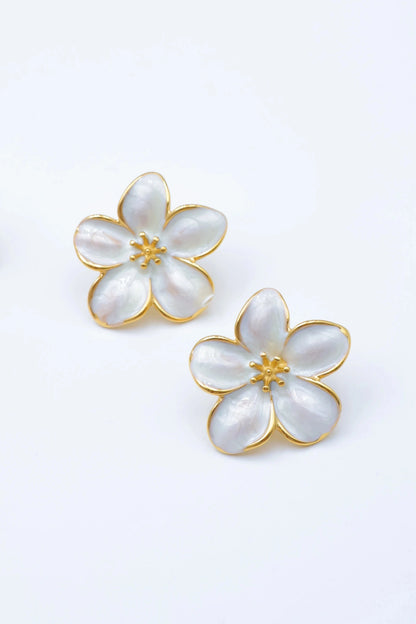 Boucles d’oreilles en acier inoxydable