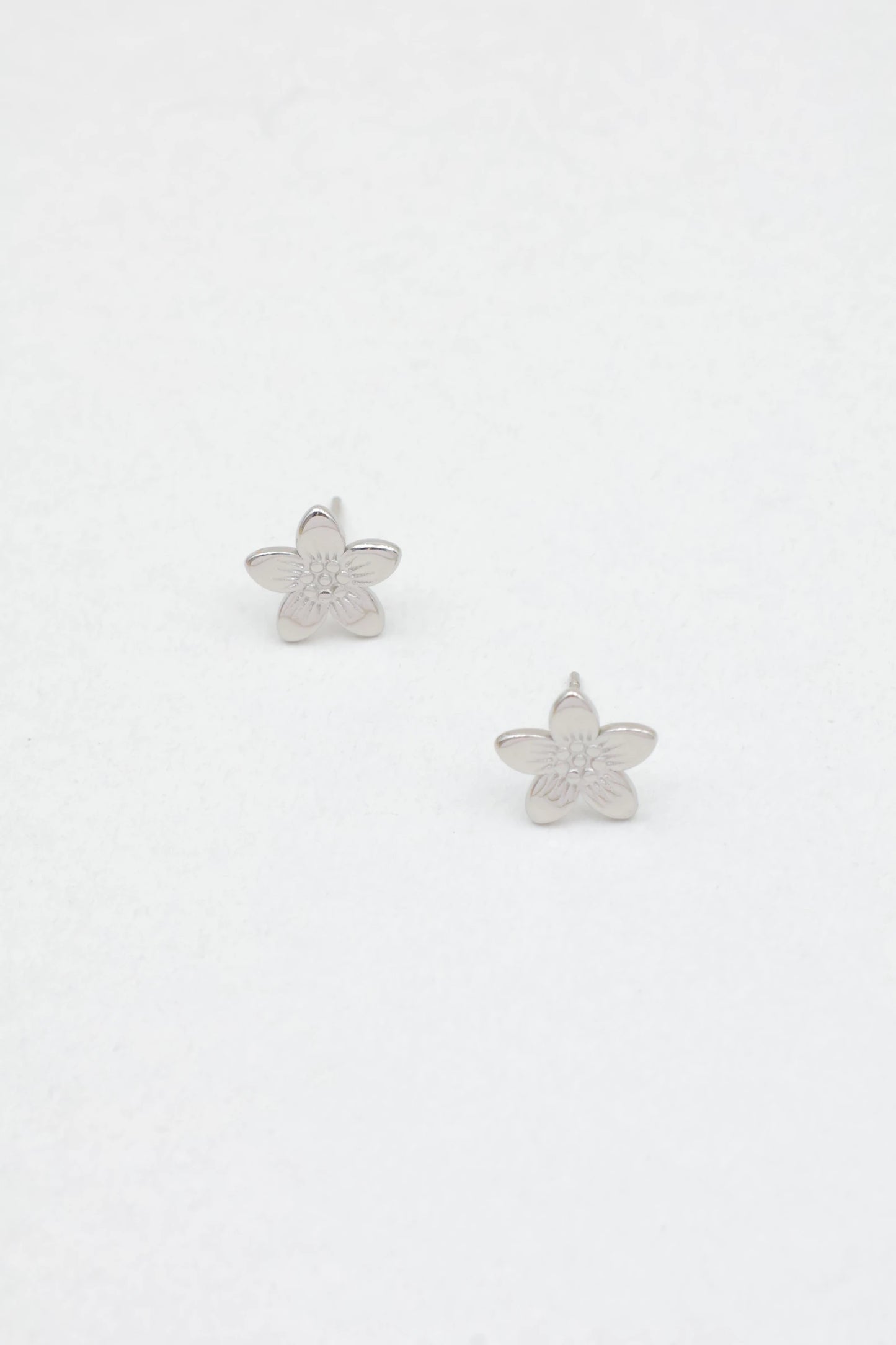 Boucles d’oreilles en acier inoxydable