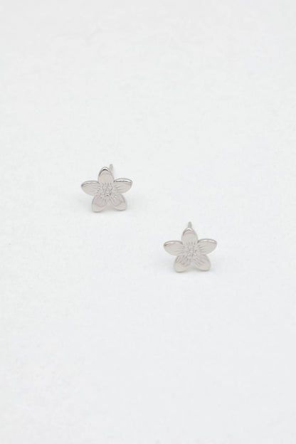 Boucles d’oreilles en acier inoxydable