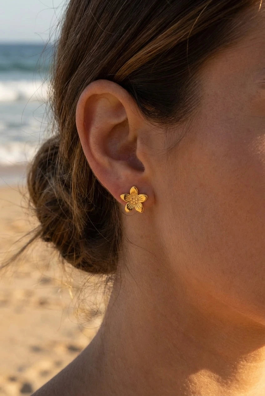 Boucles d’oreilles en acier inoxydable