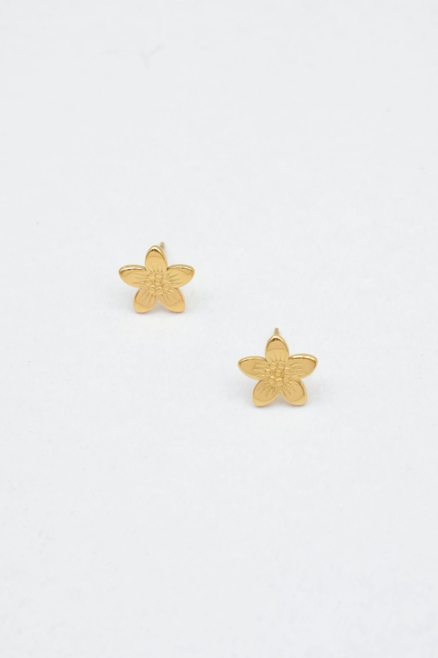 Boucles d’oreilles en acier inoxydable