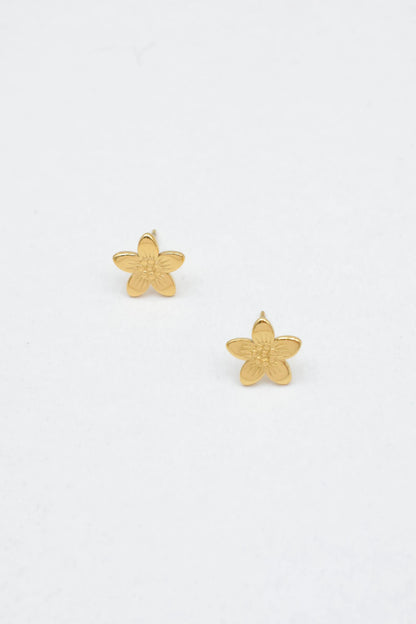 Boucles d’oreilles en acier inoxydable