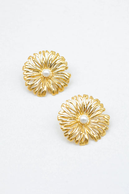Boucles d’oreilles en acier inoxydable
