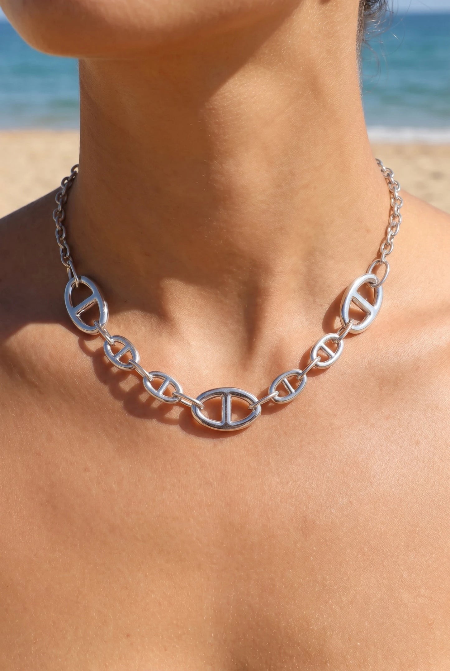 Colliers en acier inoxydable